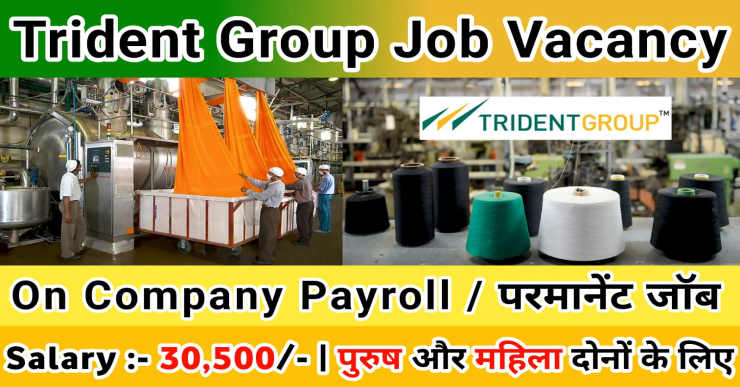 Trident Group Job Vacancy | Trident Group jobs for freshers | Trident Group Campus Placement | Trident Group Jobs For Freshers Salary
