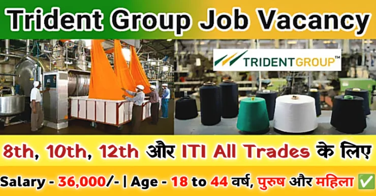 Trident Group Job Vacancy | Trident Group jobs for freshers | Trident Group Campus Placement | Trident Group Jobs For Freshers Salary